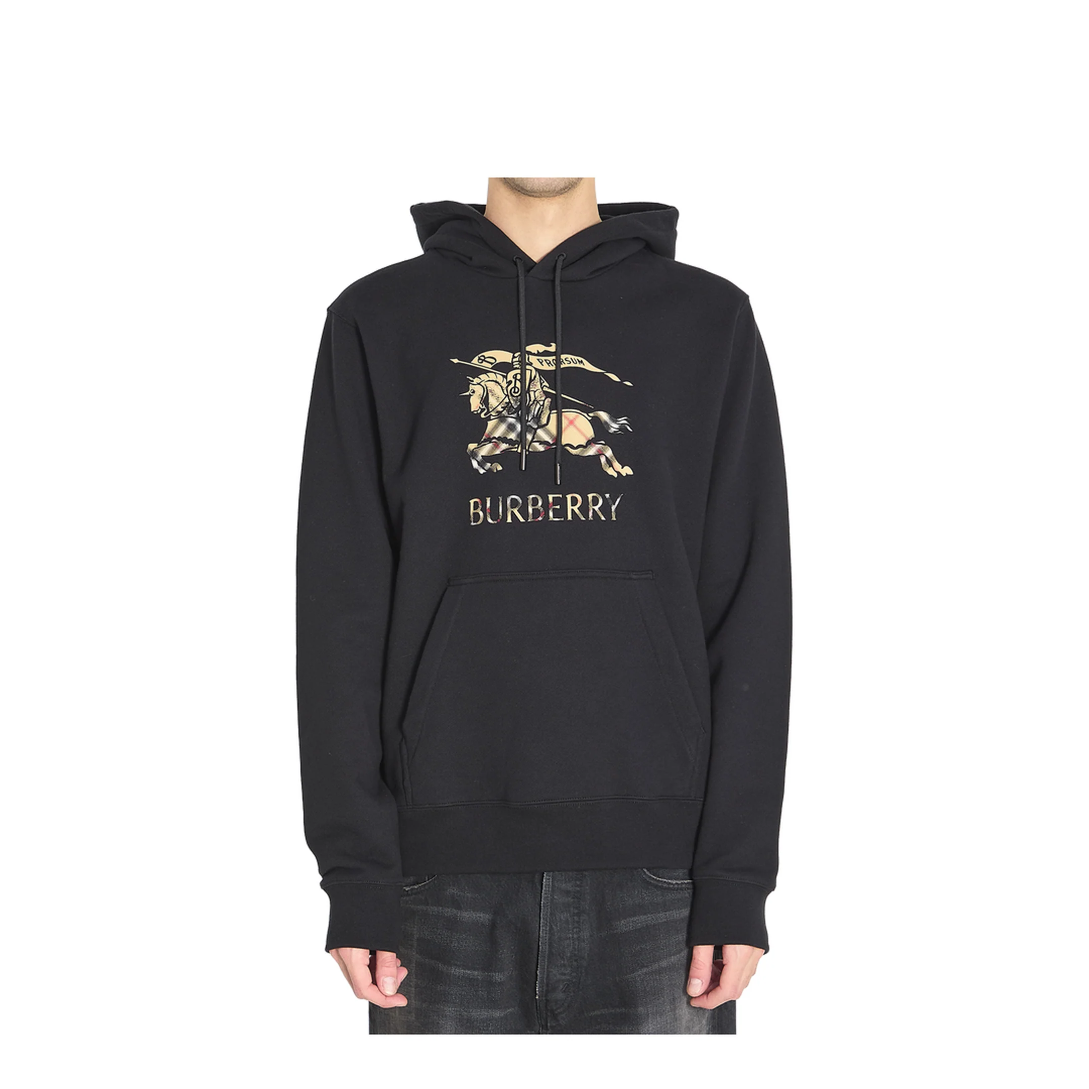 Cotton Jersey Hoodie