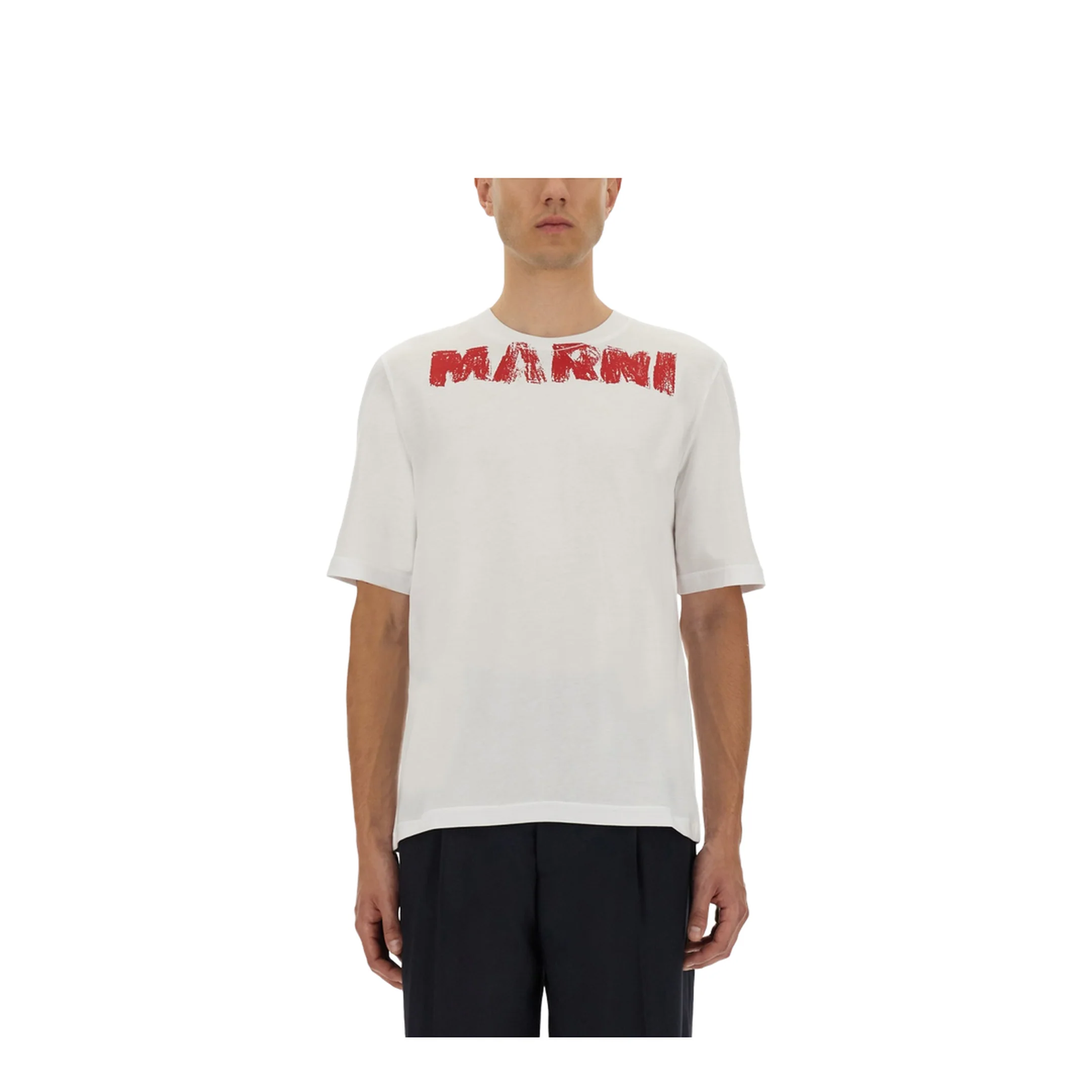 Cotton T-Shirt with Maxi Print